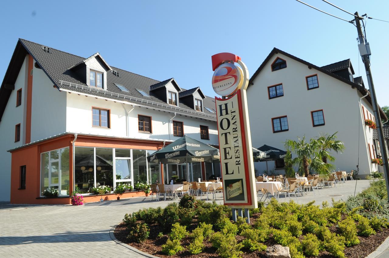 Beierleins Hotel & Catering Gmbh Reichenbach  Exteriér fotografie